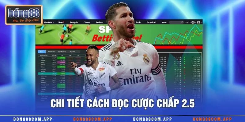 Chi tiết cách đọc cược chấp 2.5