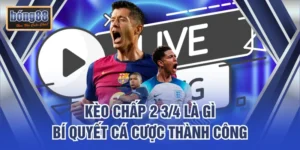 Kèo Chấp 2 3/4 Là Gì – Bí Quyết Cá Cược Thành Công