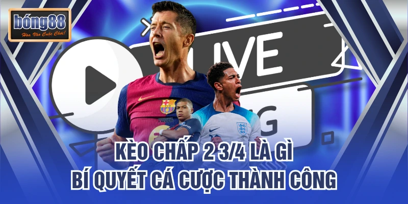 Kèo Chấp 2 3/4 Là Gì – Bí Quyết Cá Cược Thành Công