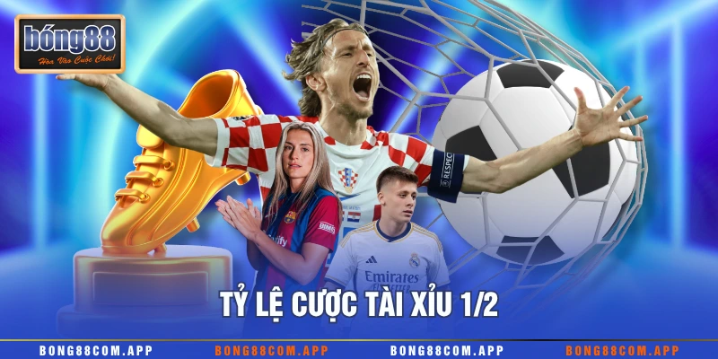 Tỷ lệ cược tài xỉu 1/2